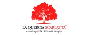 quercia scarlatta
