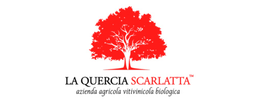 quercia scarlatta